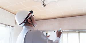 インスペクション